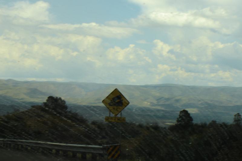 DSC01761.JPG