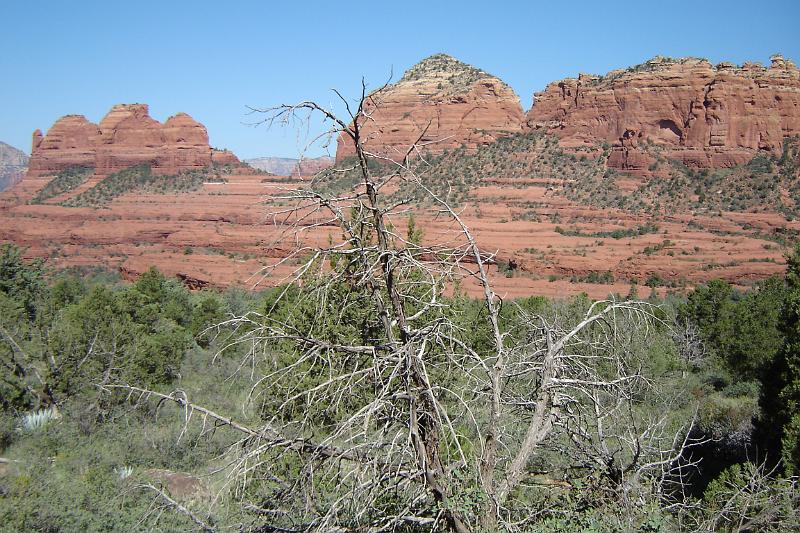 DSC01863.JPG