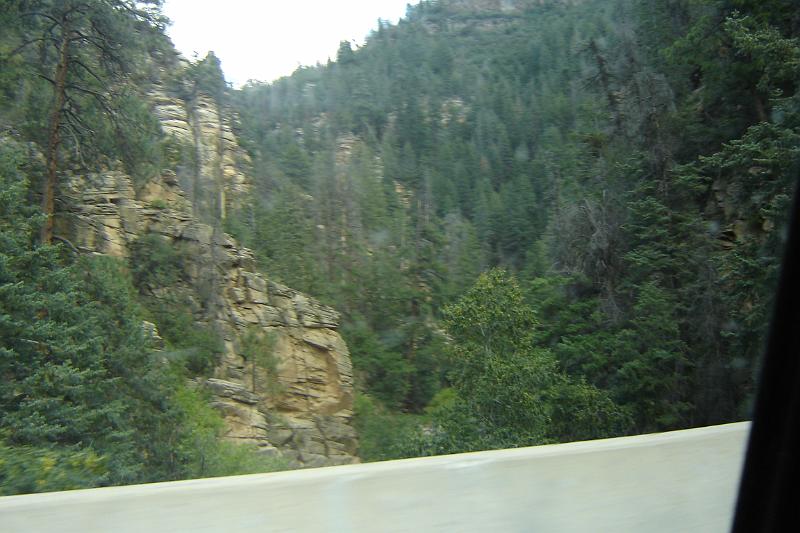 DSC01964.JPG