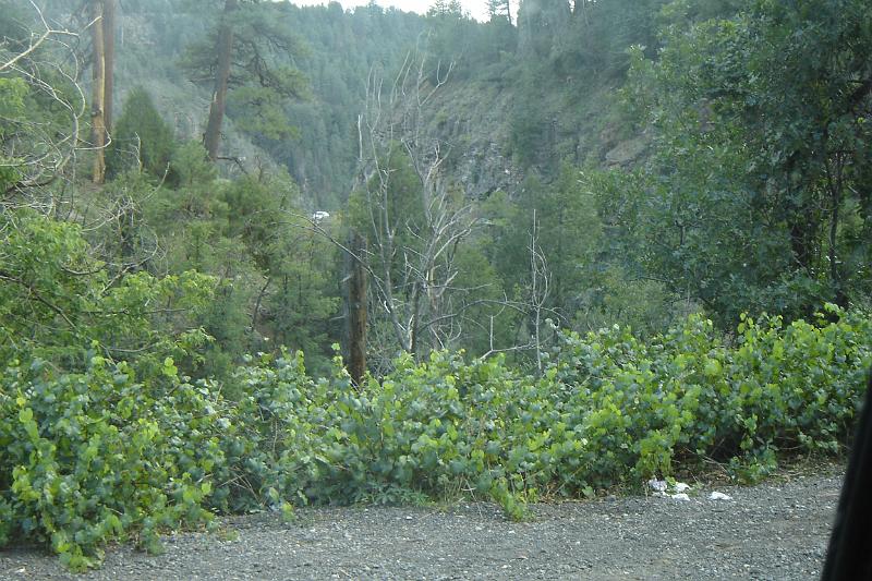 DSC01966.JPG