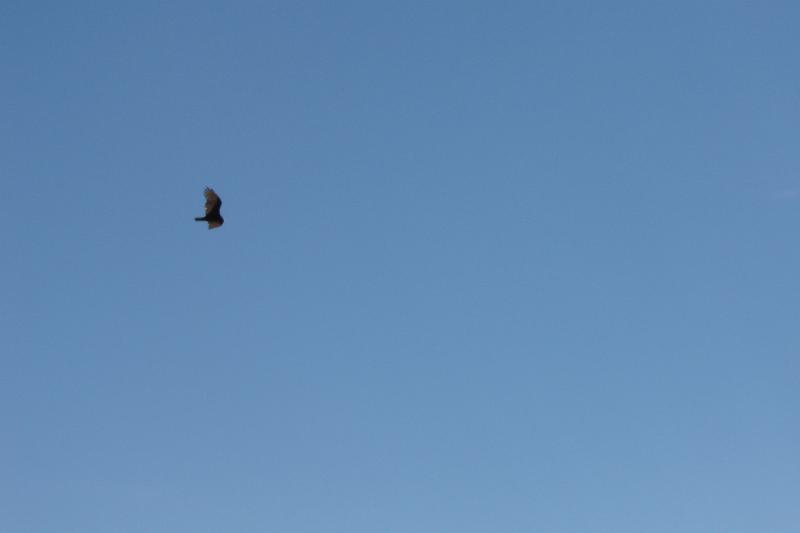 DSC02086.JPG