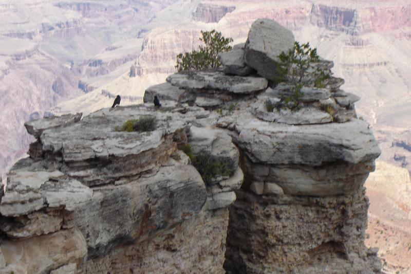 DSC02122.JPG