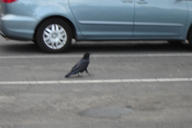 DSC02128.JPG