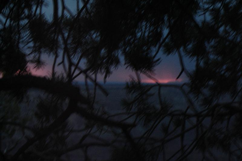 DSC02161.JPG