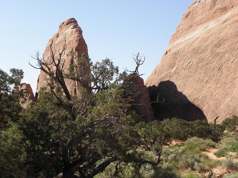 P6081390.JPG
