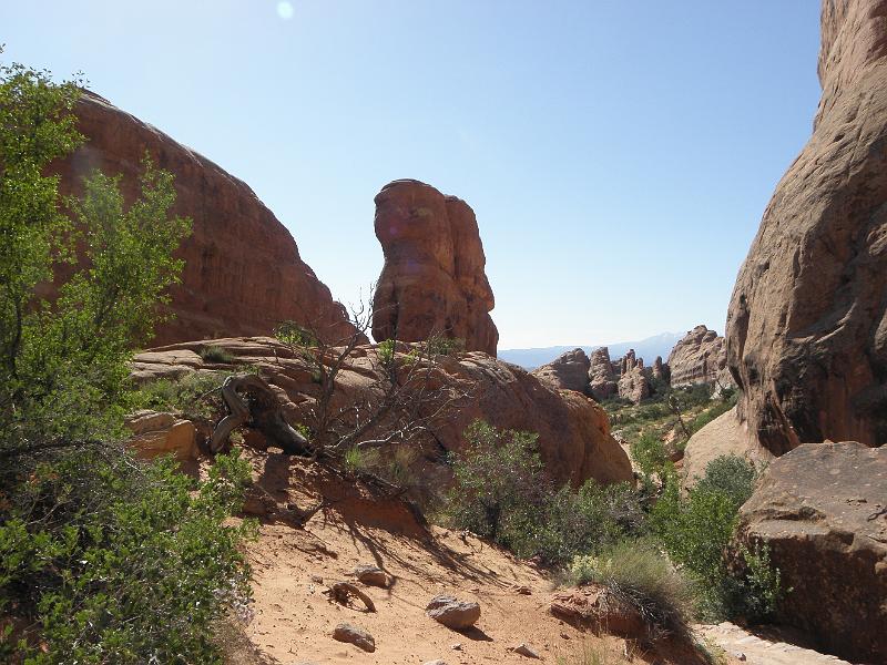 P6081420.JPG
