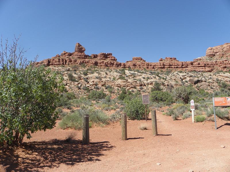 P6081444.JPG
