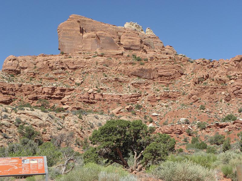 P6081445.JPG