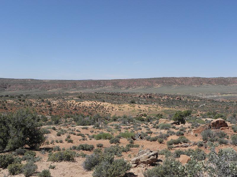 P6081464.JPG