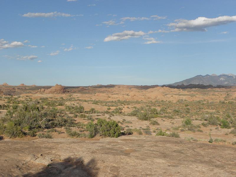P6091549.JPG