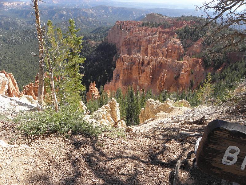 P6101744.JPG
