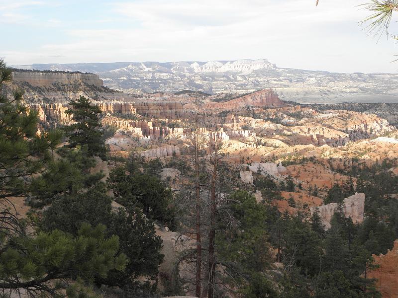 P6111860.JPG