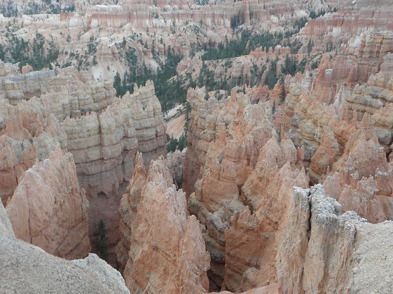 P6111879.JPG