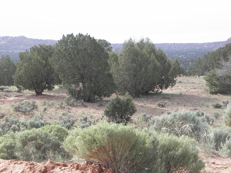 P6111895.JPG