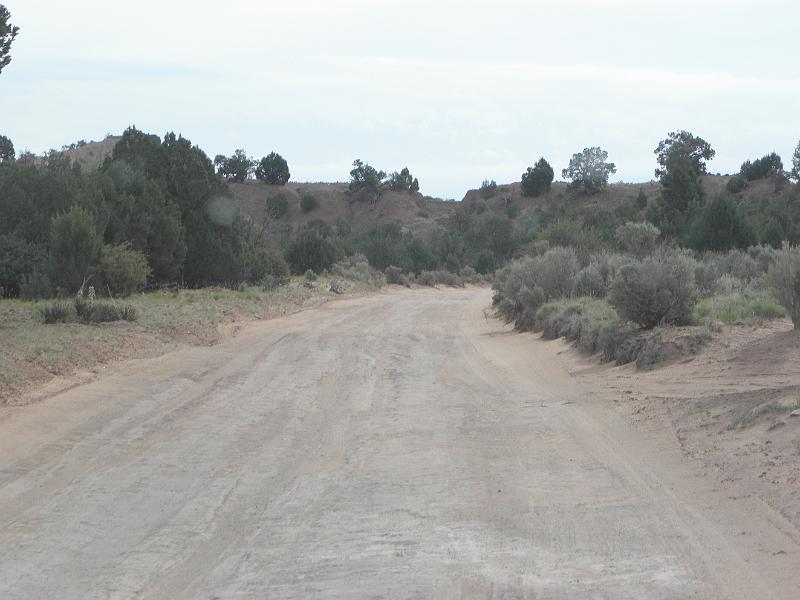 P6111901.JPG