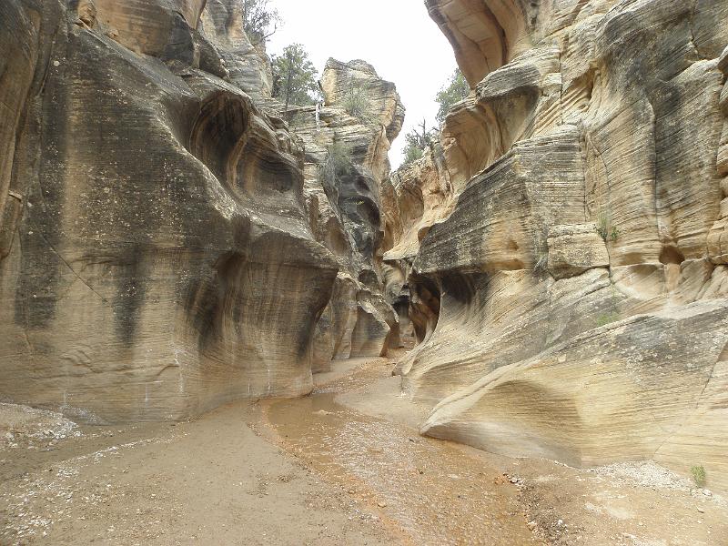 P6111940.JPG