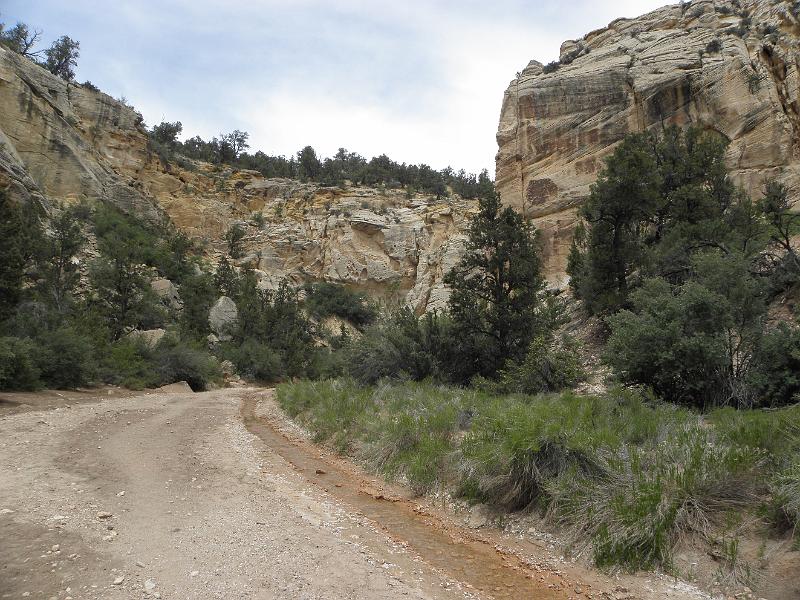 P6111960.JPG