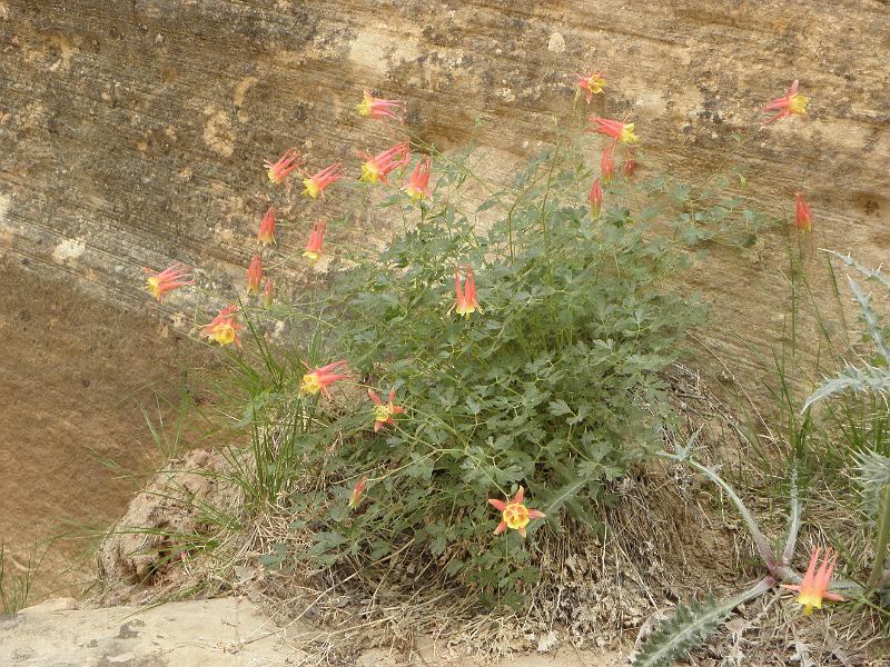 P6111968.JPG