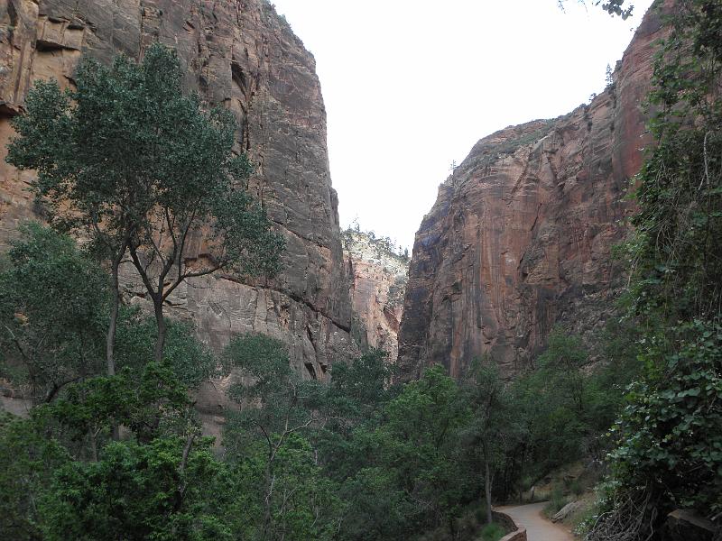 P6122036.JPG