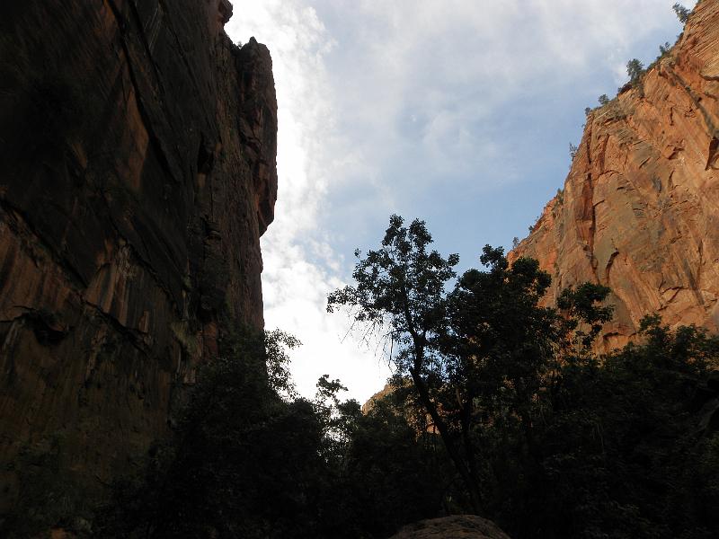 P6122038.JPG
