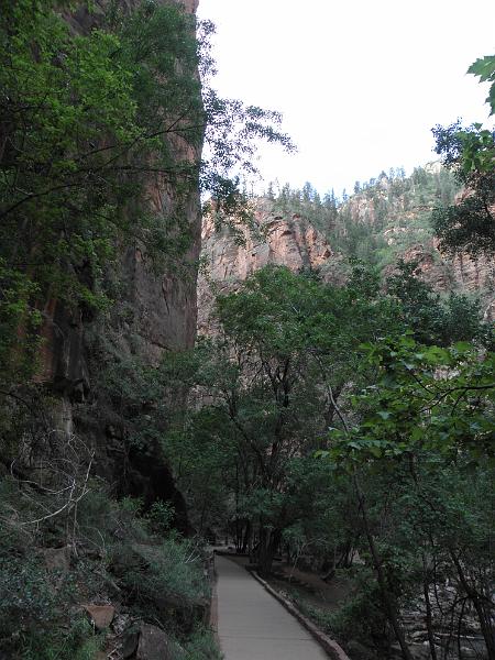 P6122047.JPG