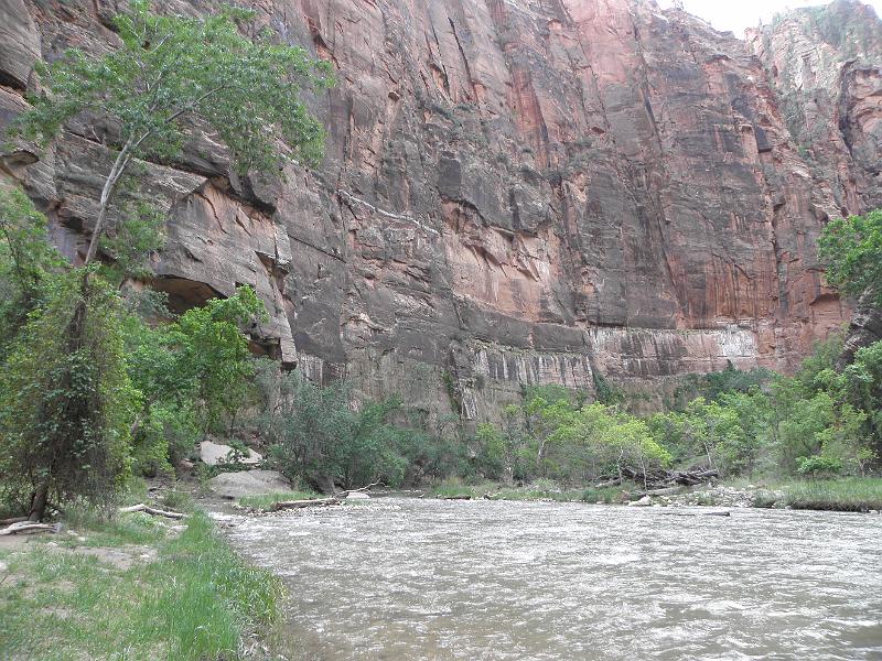 P6122048.JPG