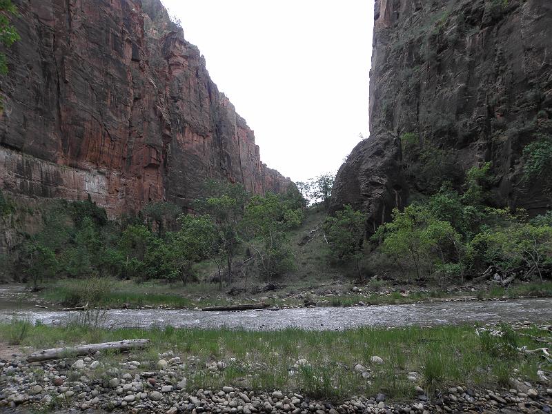P6122051.JPG