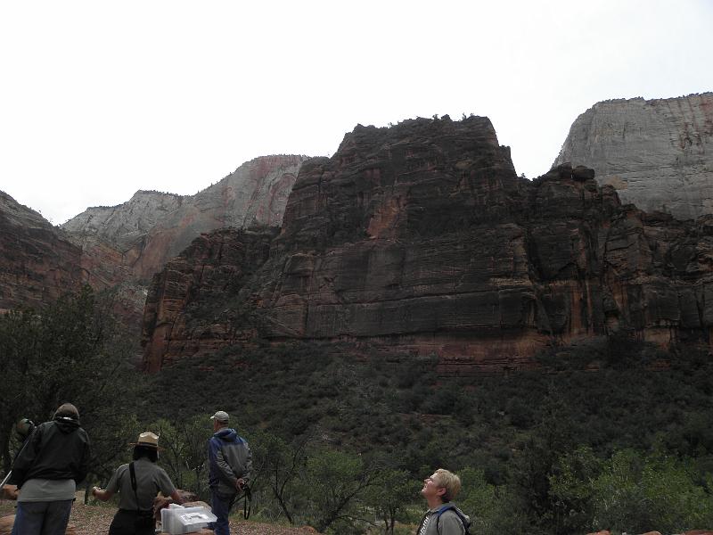 P6122057.JPG