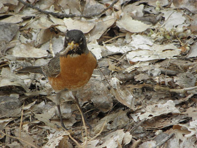 P6122071.JPG