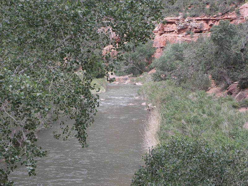 P6122076.JPG