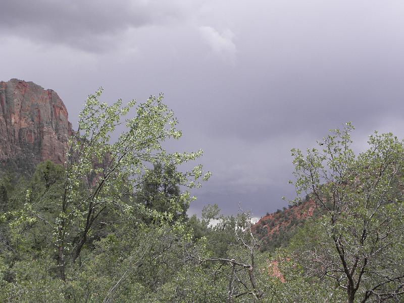 P6122111.JPG