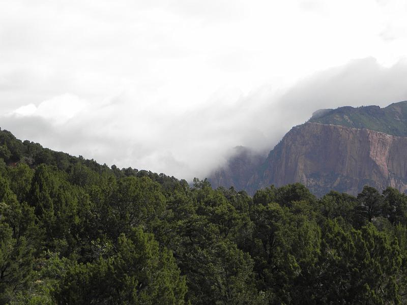 P6132158.JPG