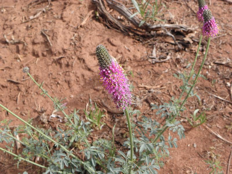 P6132159.JPG