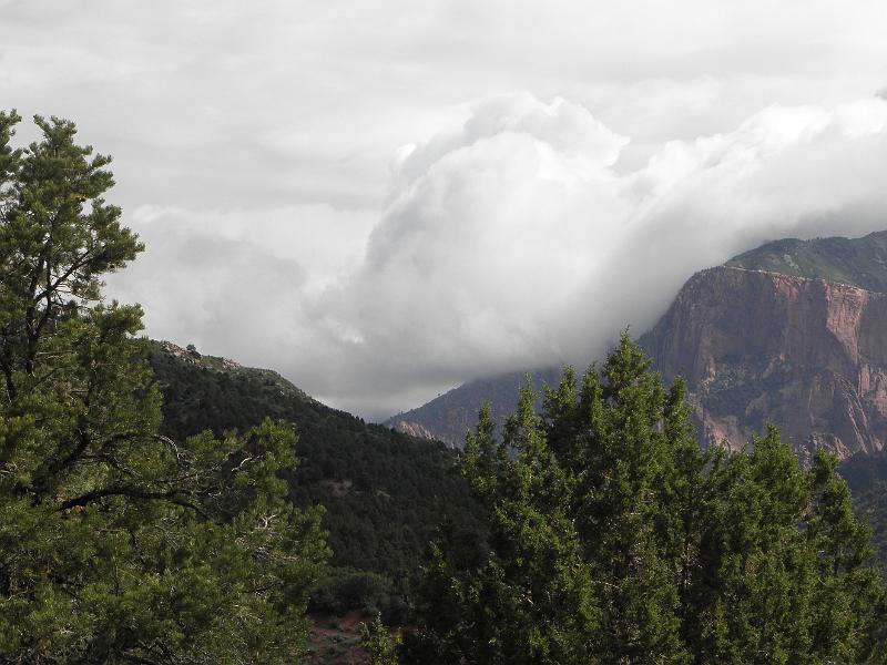 P6132175.JPG
