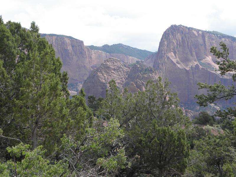 P6132191.JPG