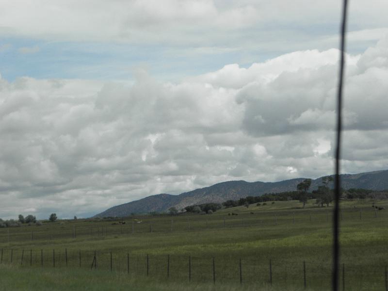 P6132211.JPG