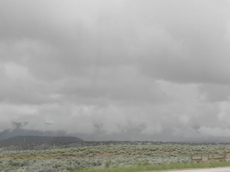 P6132215.JPG