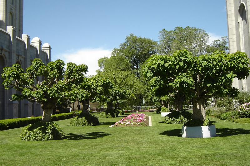 DSC05427.JPG