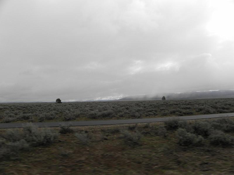 P5290151.JPG