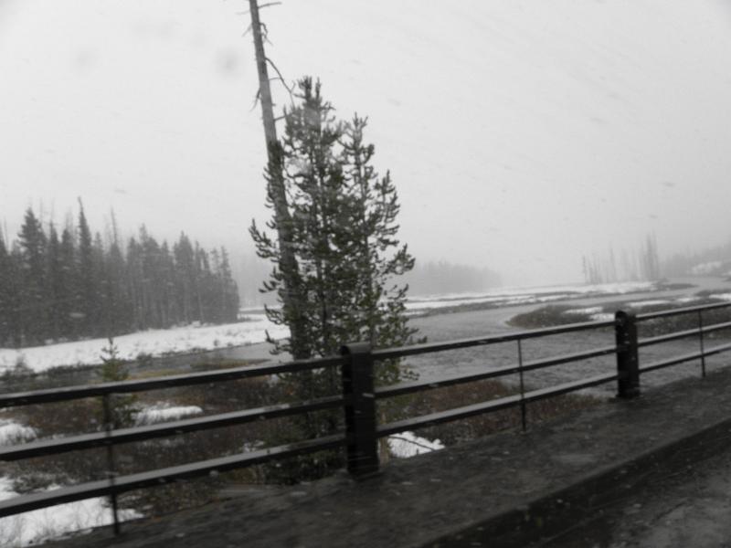 P5290177.JPG