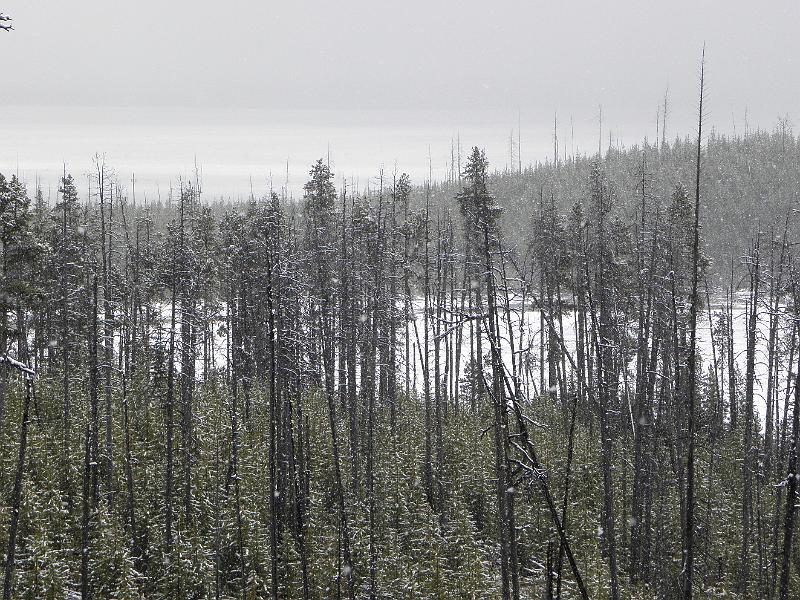P5290251.JPG