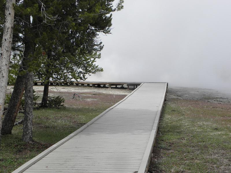 P5290351.JPG