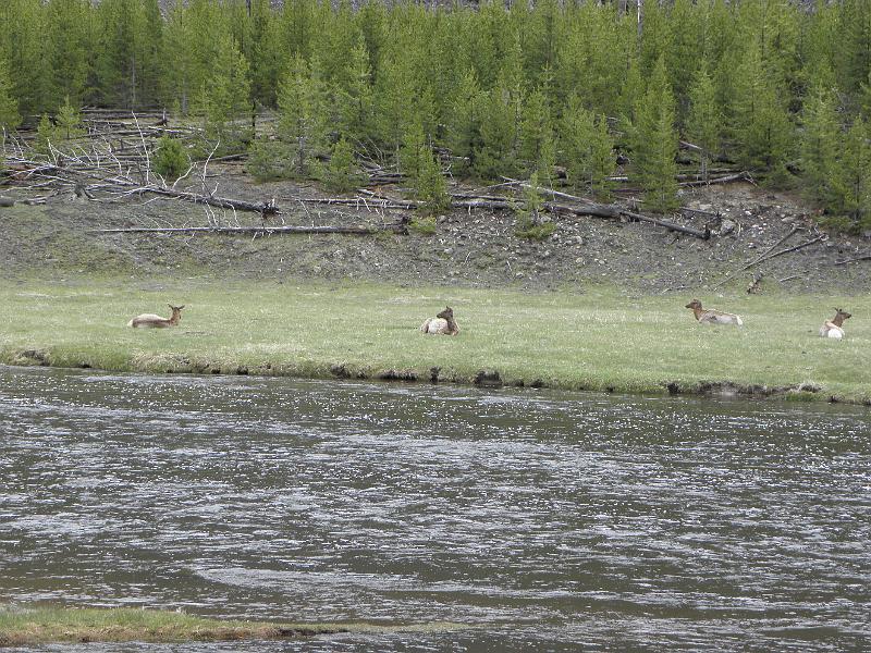 P5290378.JPG