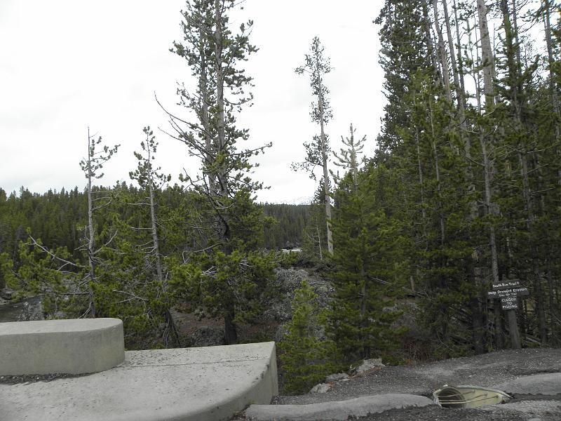 P5300442.JPG