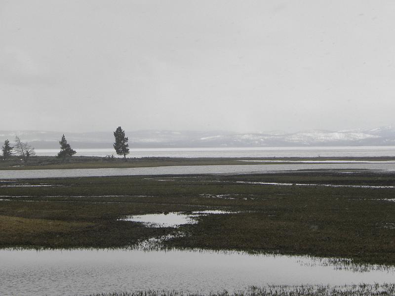 P5300479.JPG