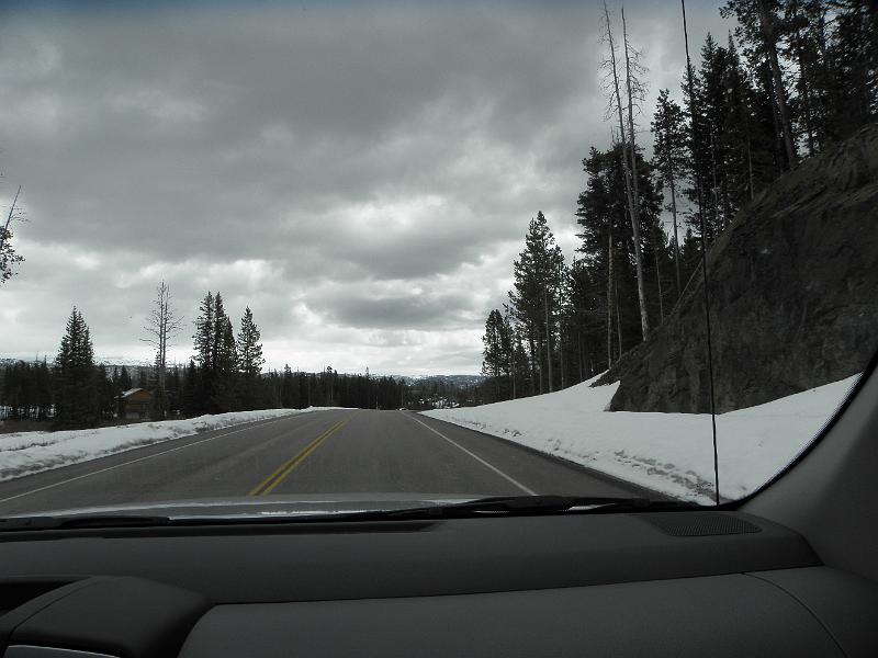 P5310561.JPG