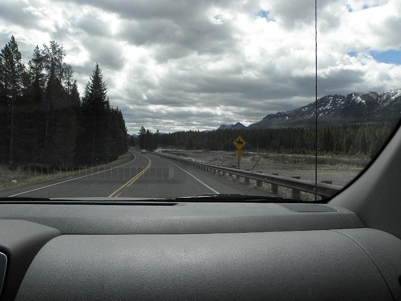 P5310566.JPG