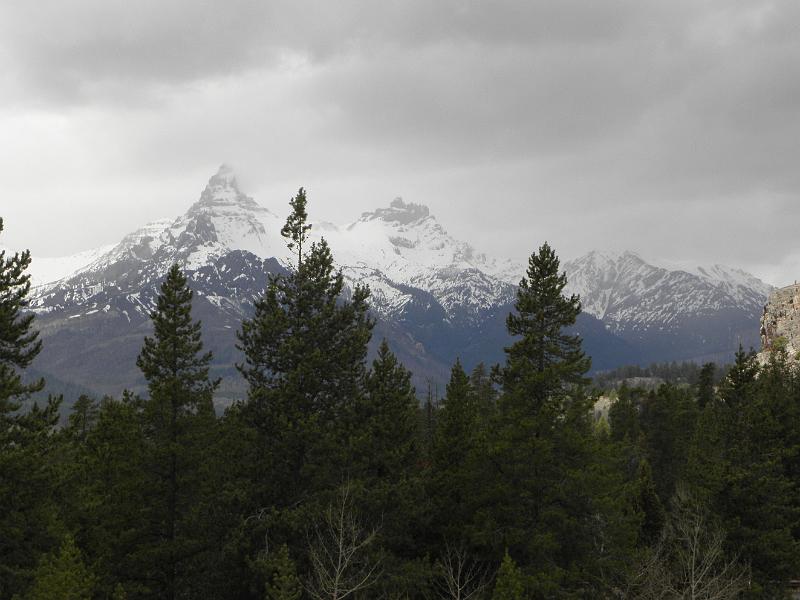 P5310570.JPG