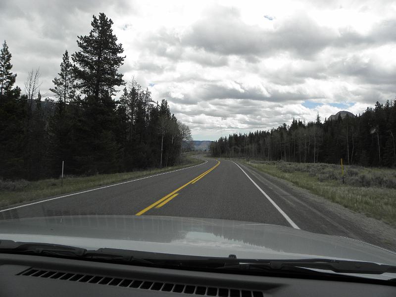 P5310579.JPG