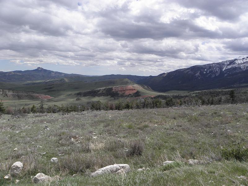 P5310636.JPG